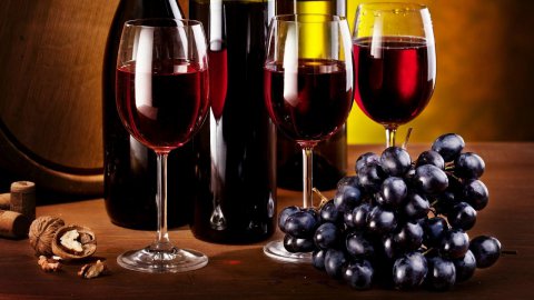 Scopriamo la differenza tra vino biologico e biodinamico