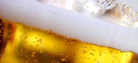 Birra biologica: fresca, sana e buona!