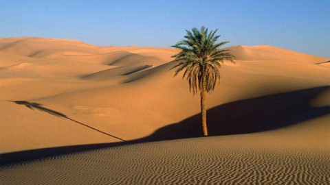 Il deserto diventa un valido aiuto contro il riscaldamento globale