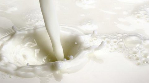 Dieta senza lattosio: cosa mangiare?
