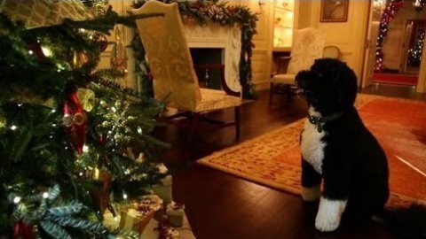 Natale alla Casa Bianca