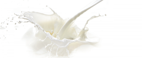 Intolleranza al lattosio: cos’è e come risolvere il problema
