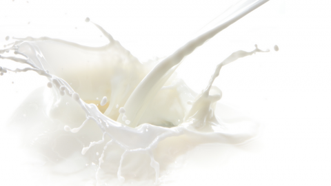 Intolleranza al lattosio: cos’è e come risolvere il problema
