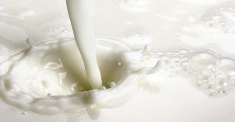 Intolleranza al lattosio, cosa mangiare per non avere problemi