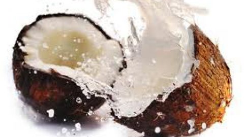 Noce di cocco: il frutto dell’estate