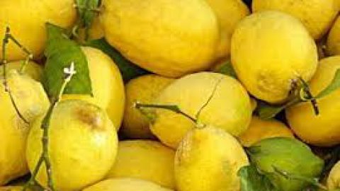 Ghiaccioli al limone