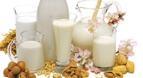 Tutte le proprietà del latte vegetale